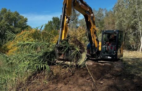 treballs tamarigar web