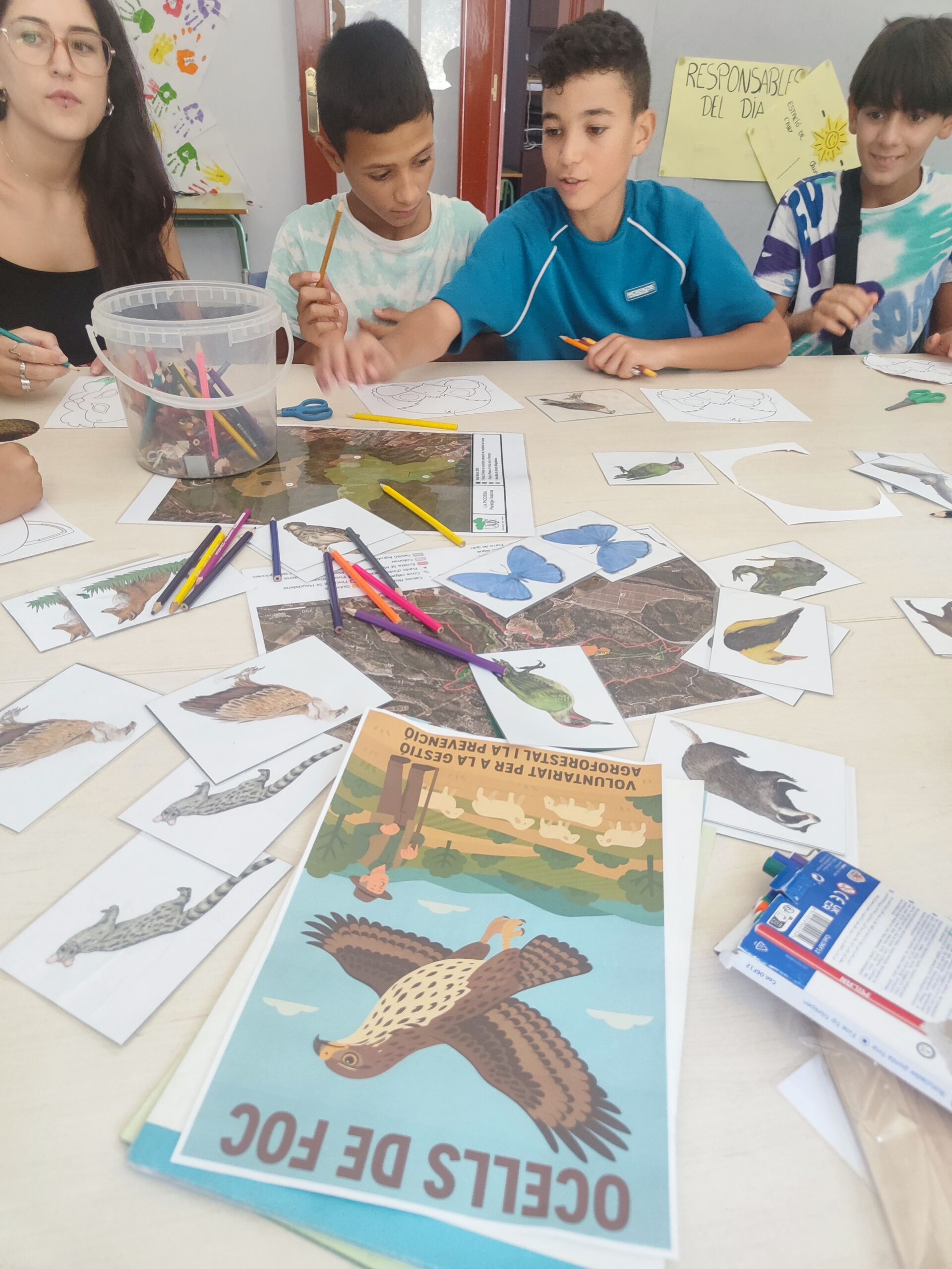 IMG_20250717_113546 – copia