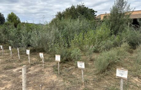 Imagen de WhatsApp 2025-09-09 a las 11.54.17_2e62c895