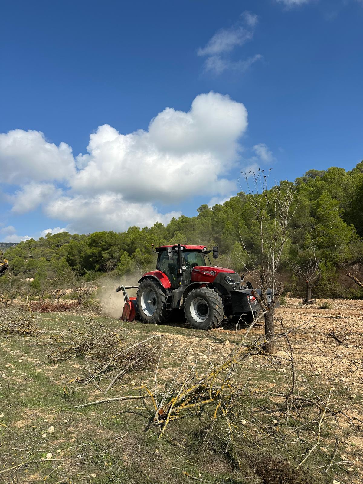 Imagen de WhatsApp 2025-10-16 a las 14.44.49_fef0cb3f