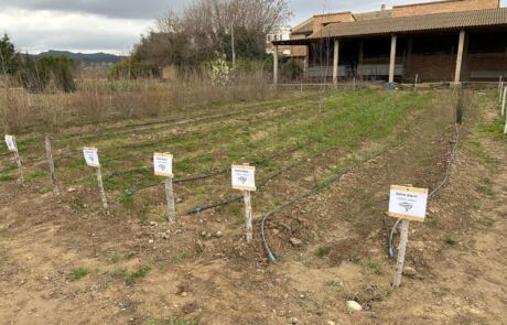 Imagen de WhatsApp 2025-11-27 a las 08.38.06_828ac0d4