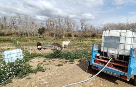 Imagen de WhatsApp 2025-11-27 a las 08.38.35_c261ab03