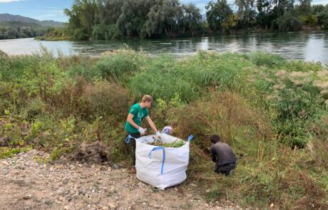 Imagen de WhatsApp 2025-11-27 a las 08.51.21_a0ede03b