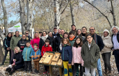 Captura de pantalla 2025-12-04 132119