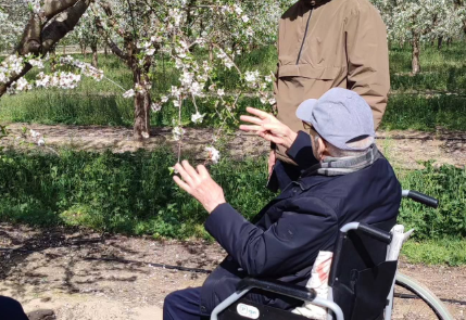 Captura de pantalla 2025-12-09 121801