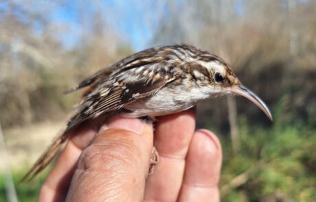 Imagen de WhatsApp 2025-02-18 a las 09.34.07_6906b006