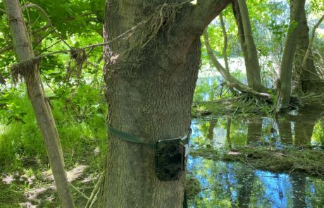 Imagen de WhatsApp 2025-04-25 a las 12.24.48_1be478d8