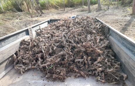 Imagen de WhatsApp 2025-12-09 a las 11.08.06_6518d80e