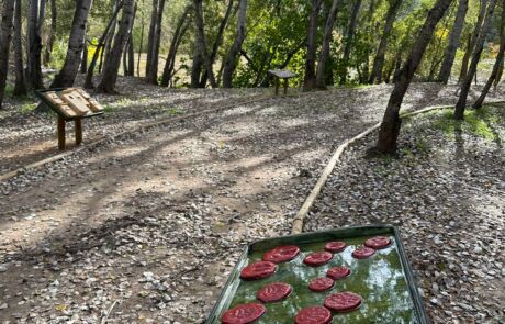 Imagen de WhatsApp 2025-12-09 a las 11.10.01_df1ab18f