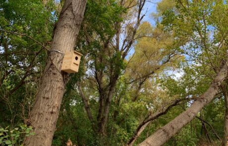 Imagen de WhatsApp 2025-12-09 a las 11.36.42_95411db9