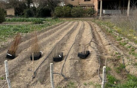 WhatsApp Image 2025-12-19 at 09.08.41