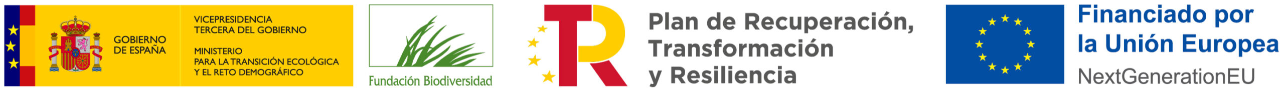 VICE3+MTERD+FB+PRTR+NEXT_Bandera_Color