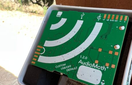 WhatsApp Image 2026-01-07 at 13.49.10