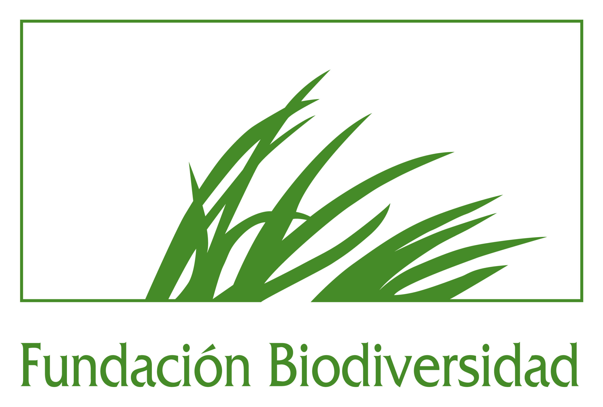 Fundación biodiversidad